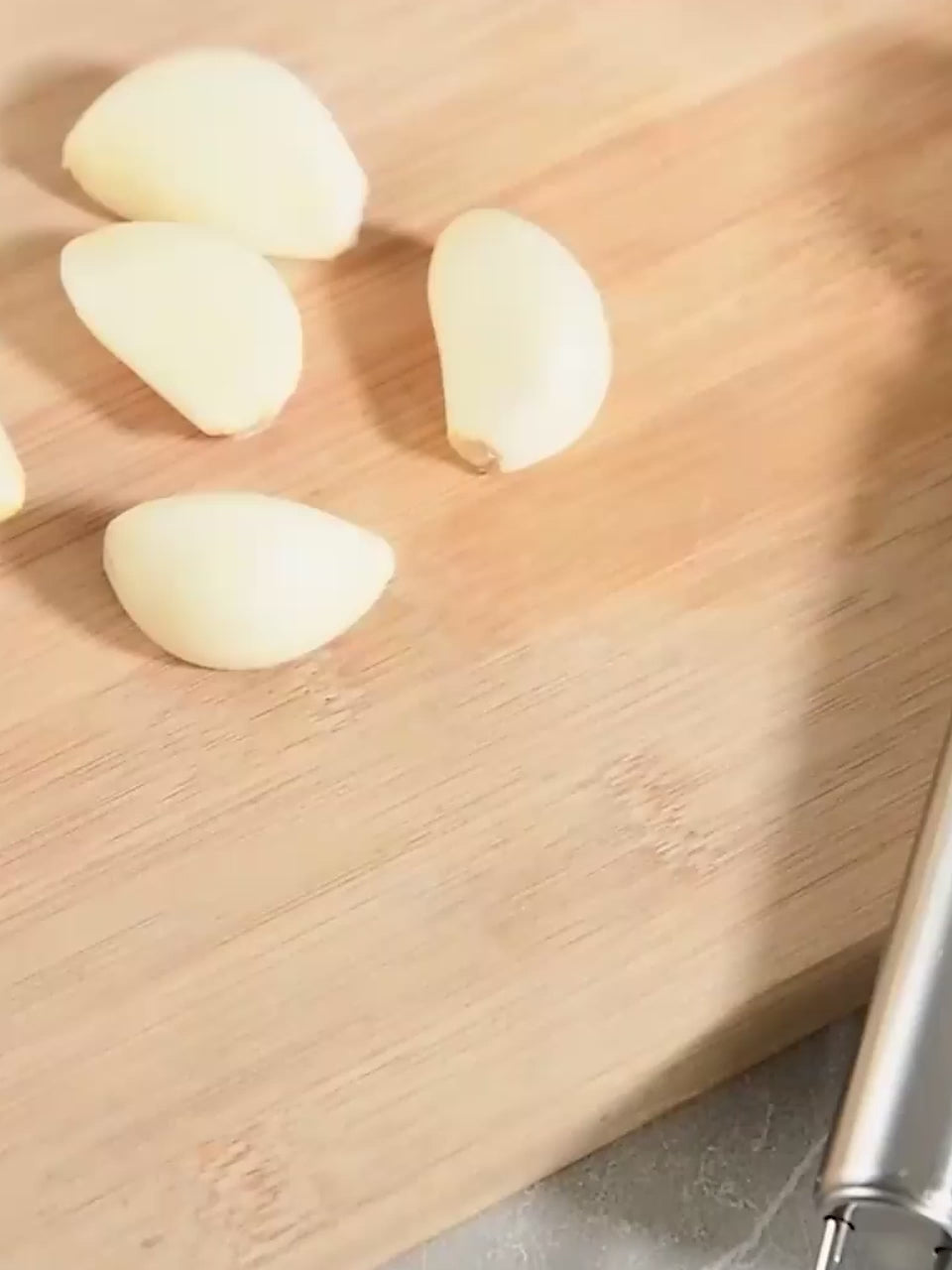 Stainless Steel Garlic Press